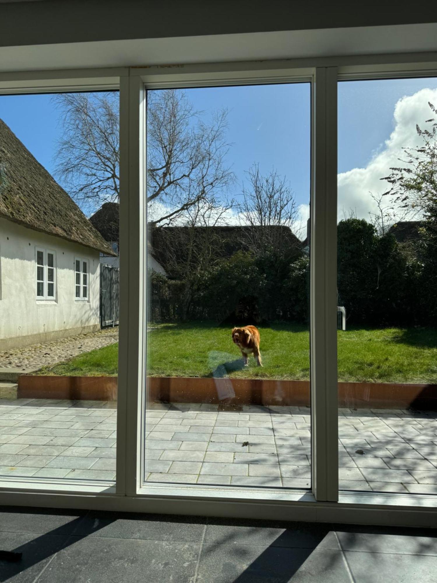 Appartamento Kapitaenshaus Von 1712 - Neu Saniert Nieblum Esterno foto